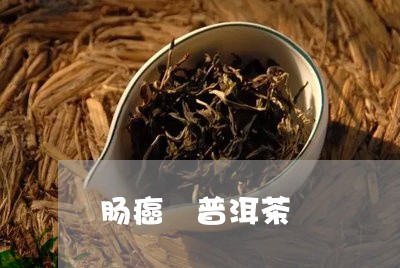 肠癌 普洱茶/2023042868998